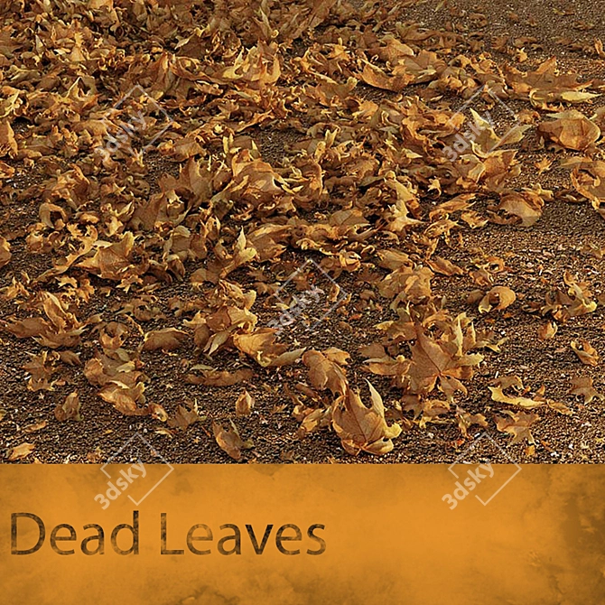 Autumn Elegance: Dead Leaves 3D model image 1