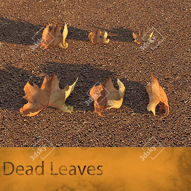 Autumn Elegance: Dead Leaves 3D model image 3