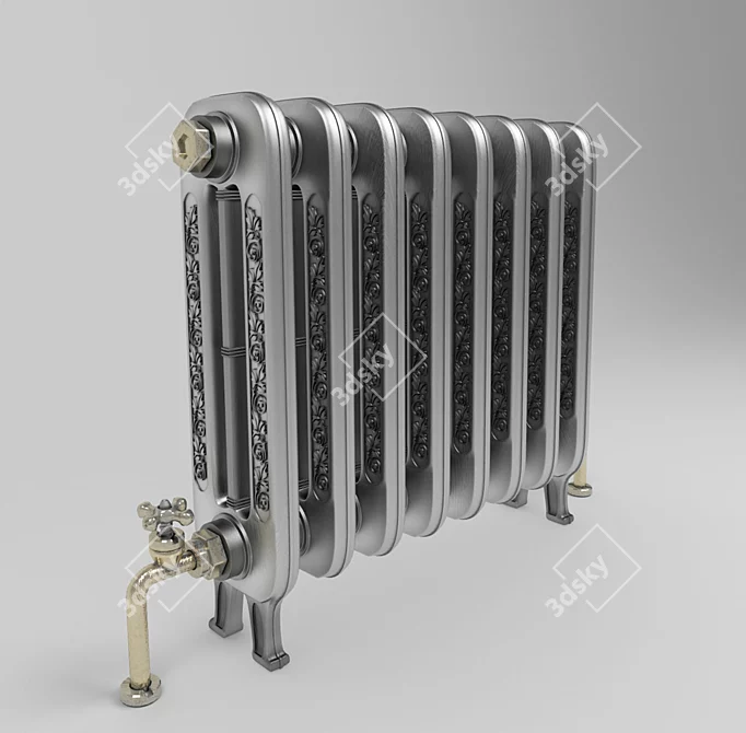 Cast Iron Radiator with Brass Pipes 3D model image 1