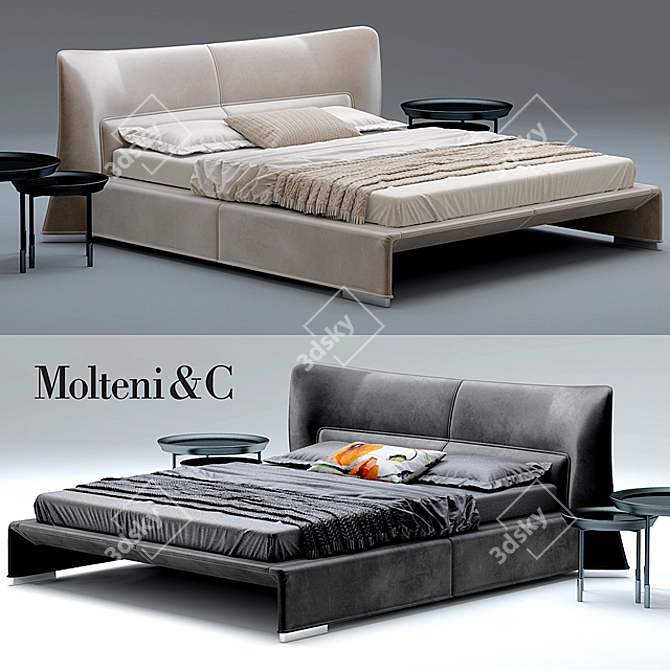 Luxury Comfort Bed: Molteni & C 3D model image 1