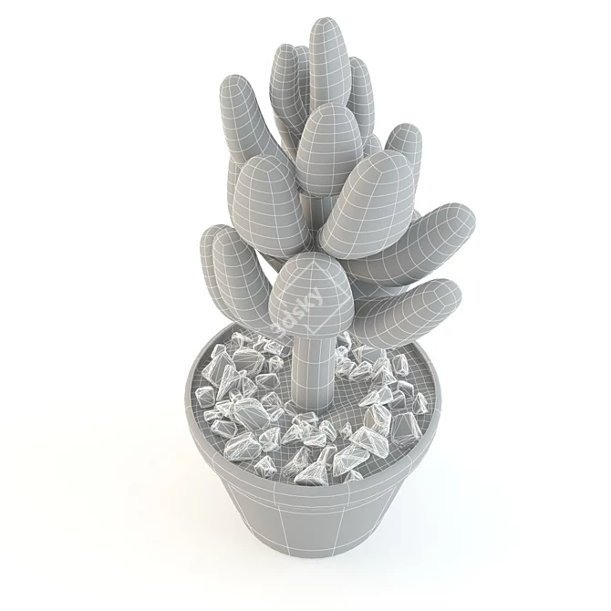 Stonecrop Succulent: Beautiful and Hardy 3D model image 3