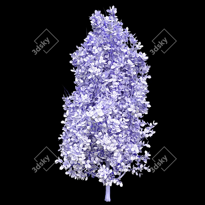 Title: English Oak 3D Model 3D model image 2