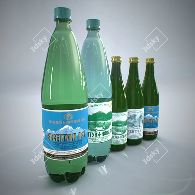 Essentuki 2014 Mineral Water 3D model image 1