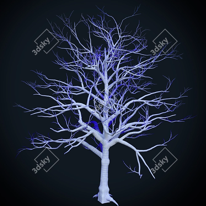 Naked Tree: 490k Polygon 3D 3D model image 2