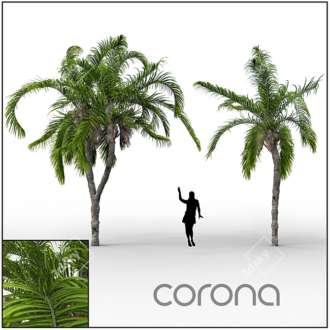 Tropical Paradise Palm 3D model image 1