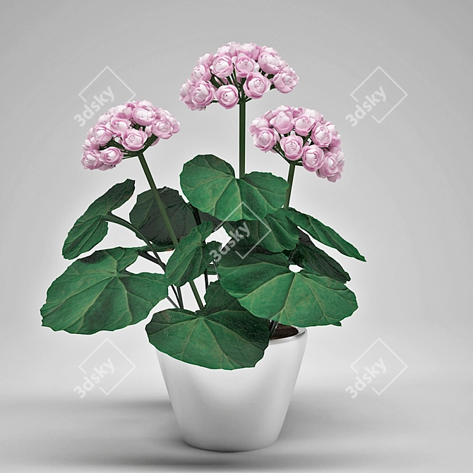 Potted Geranium: Add Charm to Your Space 3D model image 1