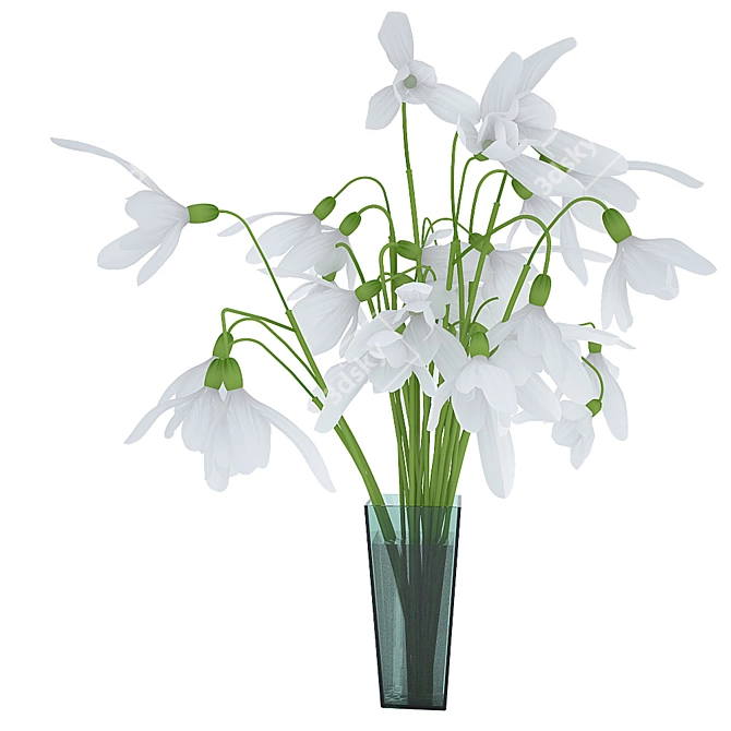 Winter Blooms: Elegant Snowdrops 3D model image 2