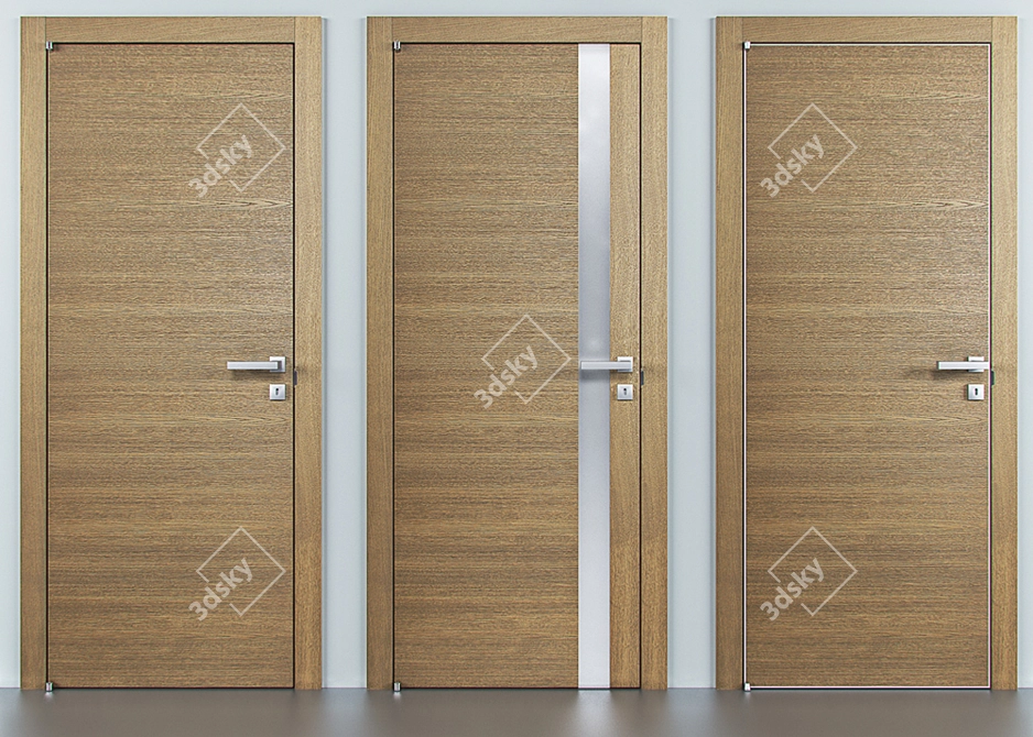 Elegant Barausse Doors for Modern Interiors 3D model image 2