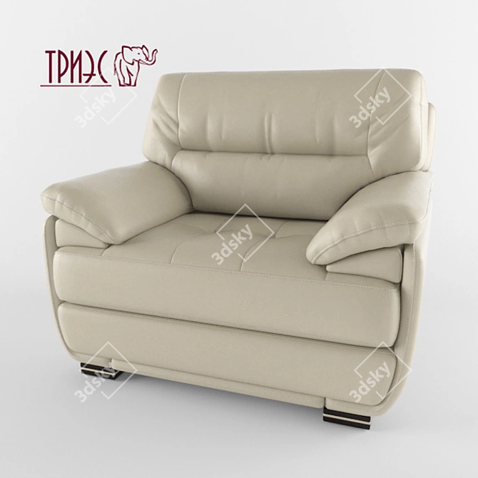 Diana-2 Leather Chair: Elegant Comfort 3D model image 1