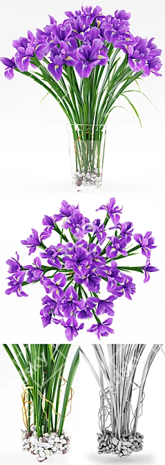 Vibrant Irises: Exquisite 3D Render 3D model image 3