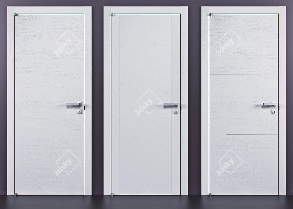 Elegant Barausse Doors Collection 3D model image 2