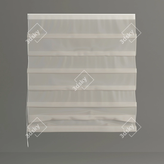 Transparent Roman Blinds 3D model image 1