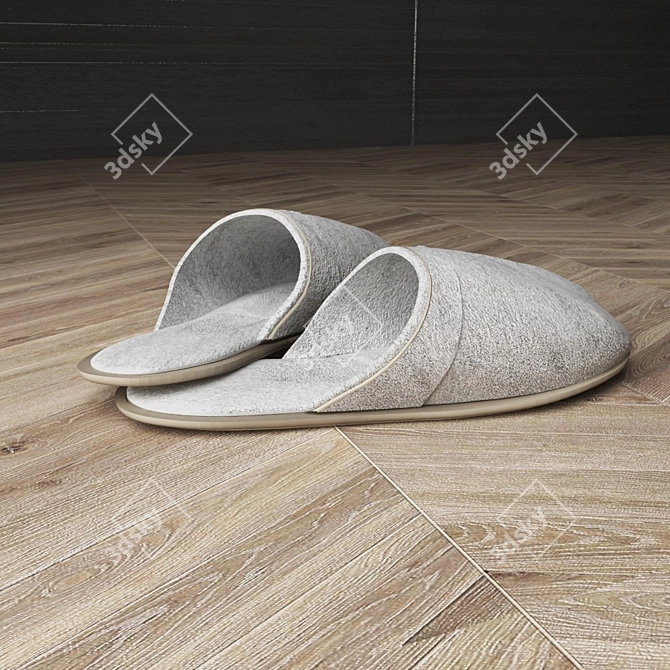Cozy Woolen Slippers 3D model image 1