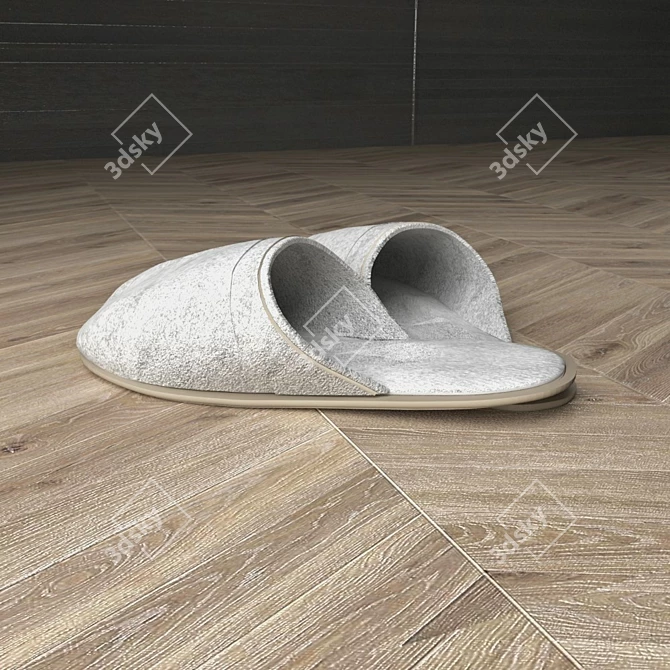 Cozy Woolen Slippers 3D model image 2