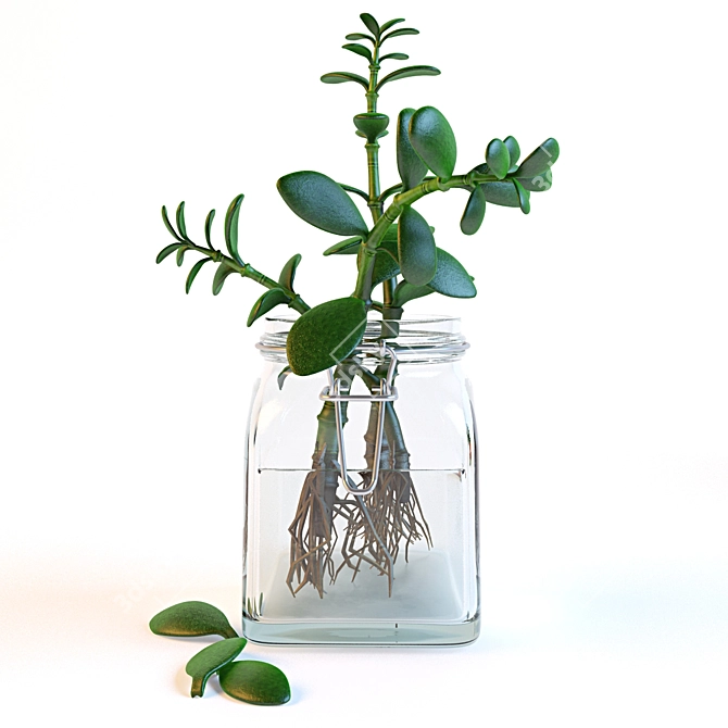 Glass Jar Money Tree 3D model image 2