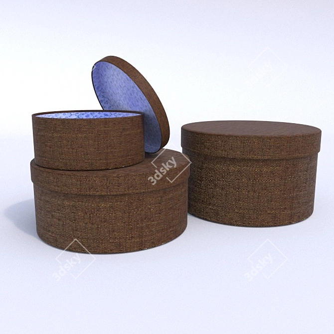 Decorative Storage Boxes 3D model image 1