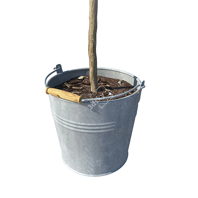Mini Bucket Olive Tree 3D model image 3