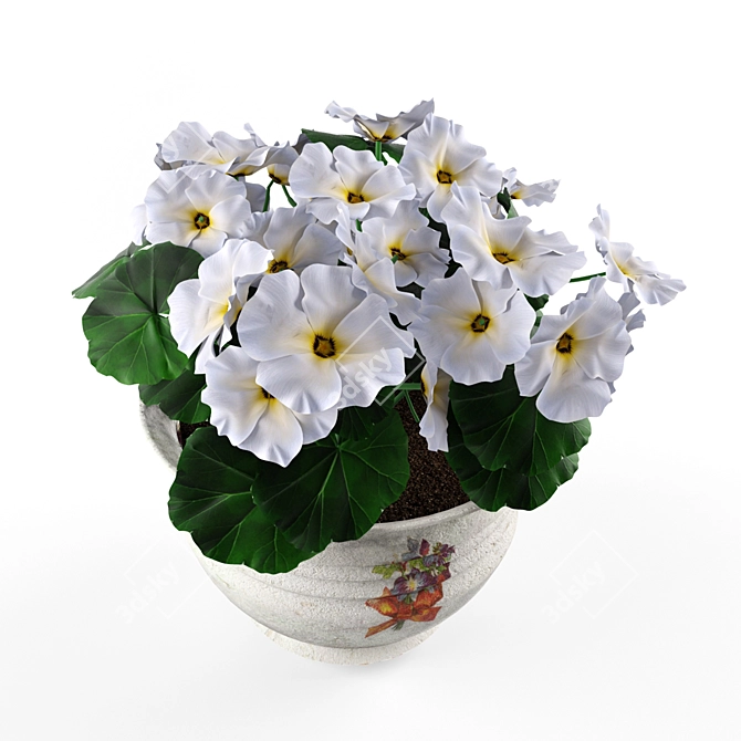 Blooming Geranium in a Pot 3D model image 1