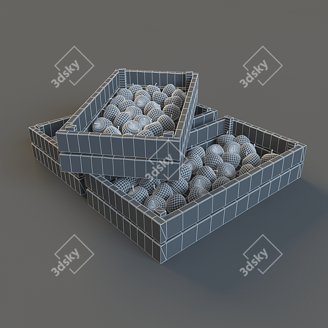 Polygon Apple Variety Collection 3D model image 2