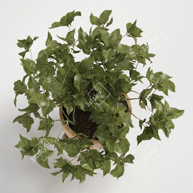 Refreshing Mint Pot: Sagaform's Perfect Herbal Companion 3D model image 2