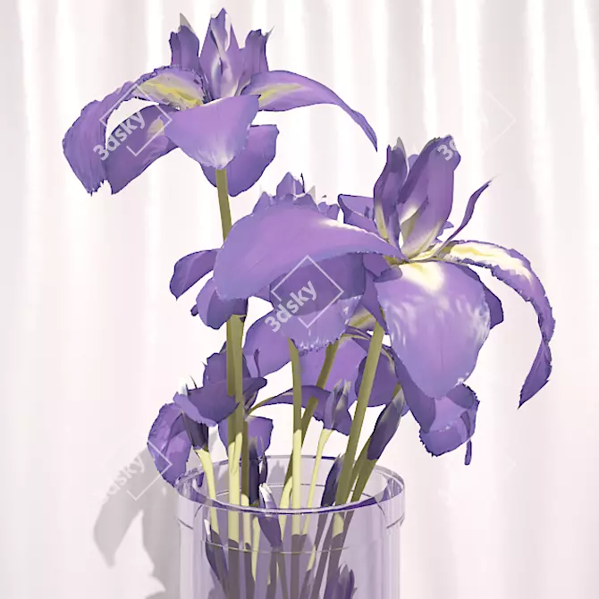 Captivating Dark Purple Irises 3D model image 2