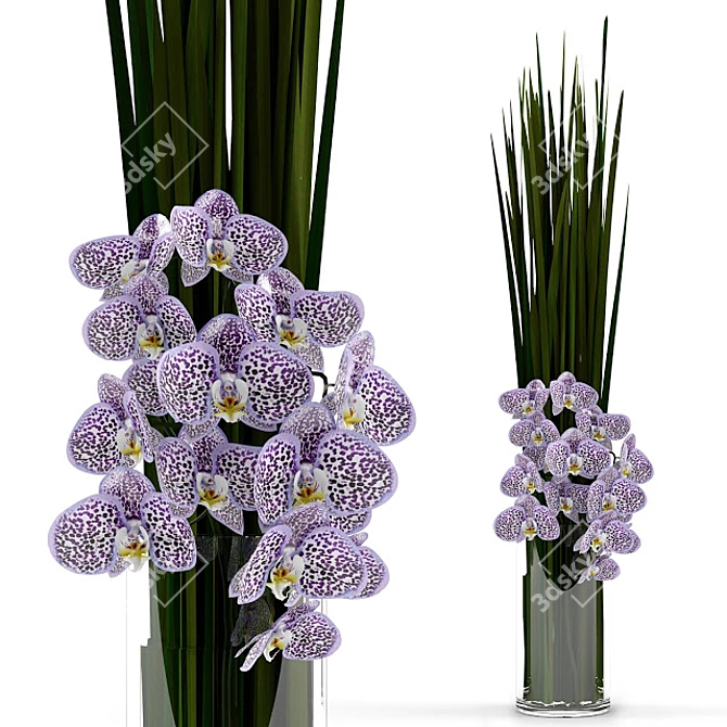 Elegant Orchid Bouquet with Grass Glass Vase 3D model image 1
