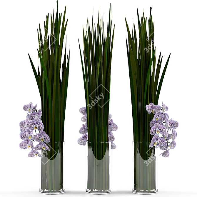 Elegant Orchid Bouquet with Grass Glass Vase 3D model image 2