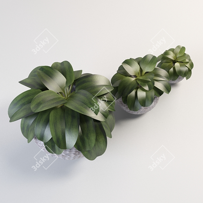 Spherical Plant Vase: Elegant & Large 3D model image 2