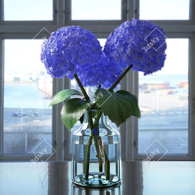 Elegant Hydrangea Blooms 3D model image 1