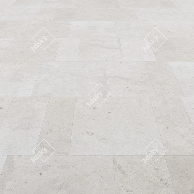 Multi-Texture Limestone Flooring 3D model image 1