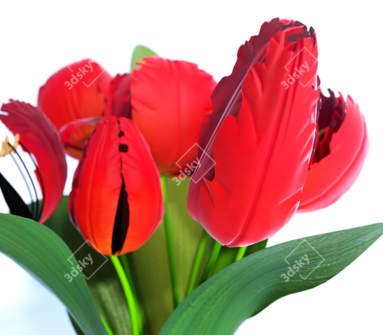 Elegant Tulip Bouquet 3D model image 2