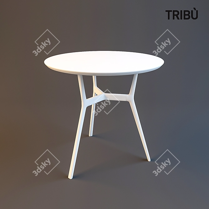 Tribu Branch Contract Table: Sleek and Minimalistic Design 3D model image 1