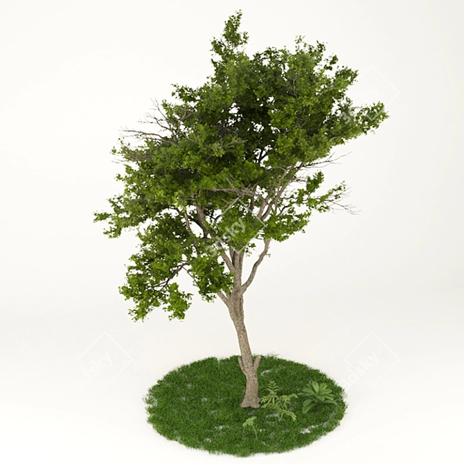 Elegant Tree Print Vol.1 3D model image 3