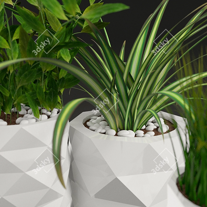 Marquis Potted Plants: Greenery Collection 3D model image 1