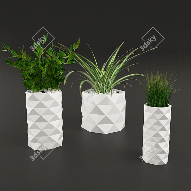 Marquis Potted Plants: Greenery Collection 3D model image 2