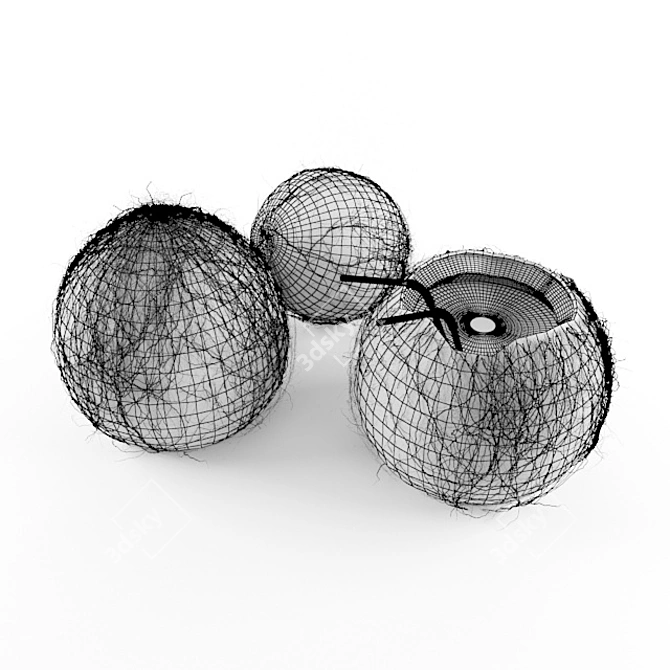 Exotic Coconut Duo: Open & Closed 3D model image 2