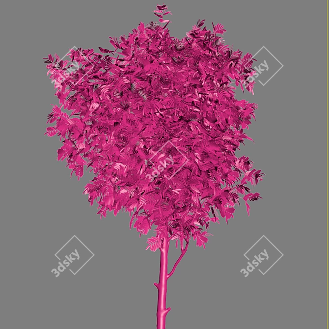 Poly Tree. Summer & Autumn Blend 3D model image 3