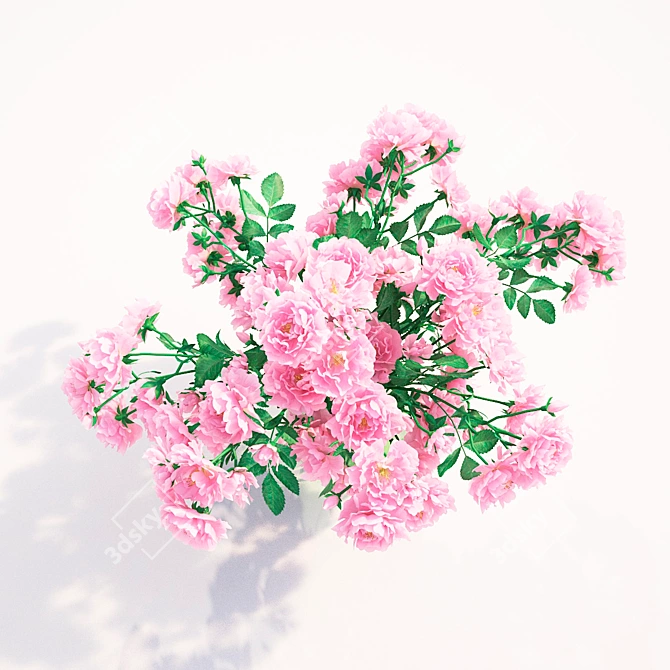 Blooming Beauty: Potted Climbing Roses 3D model image 3