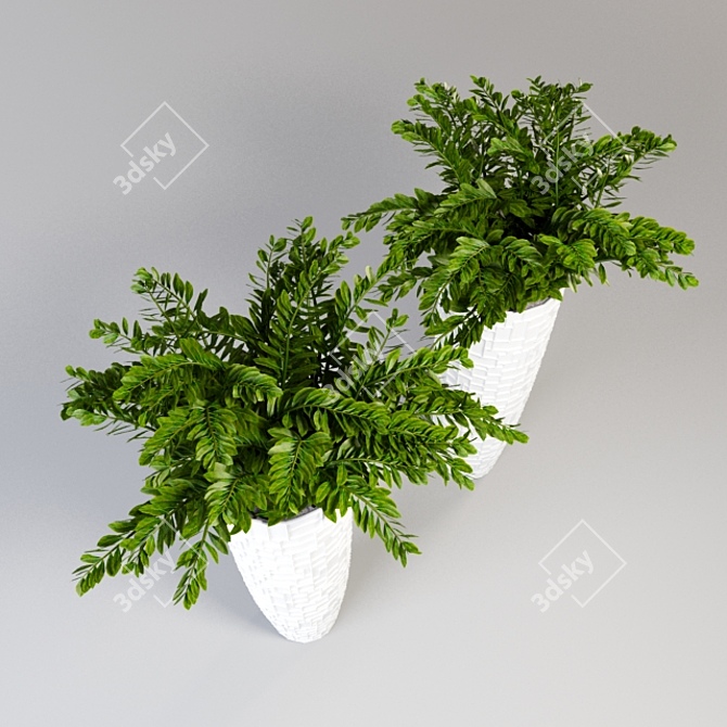 Zamioculcas: Large White Vase with Unique Pattern 3D model image 2