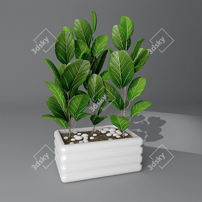 Lush Leafy Green Indoor Plant 3D model image 1