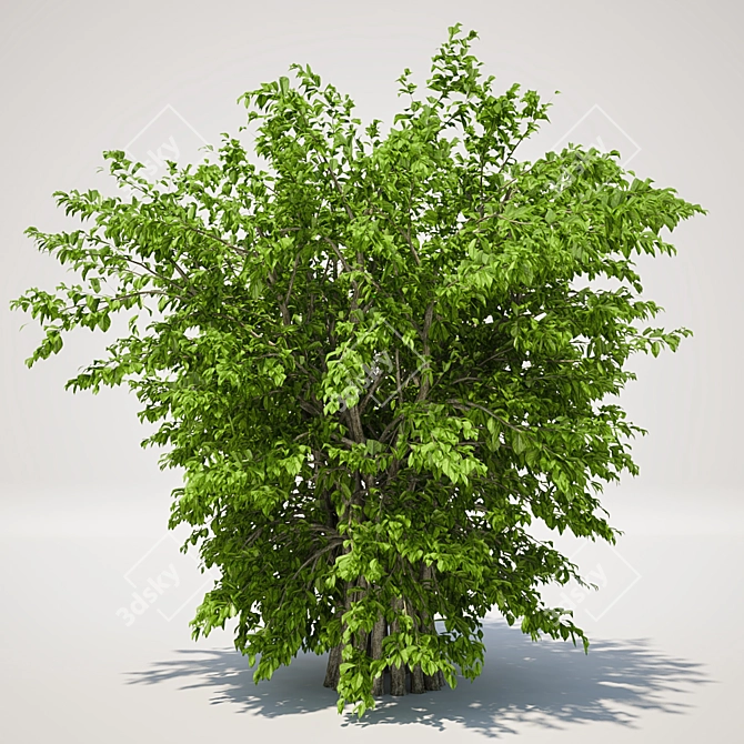 Lush 120cm Green Bush 3D model image 1