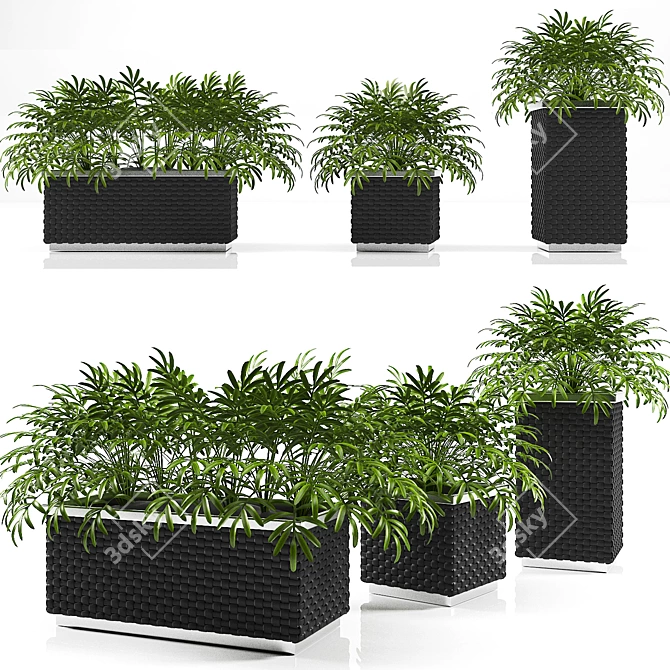 Versatile Planter Box Collection 3D model image 1