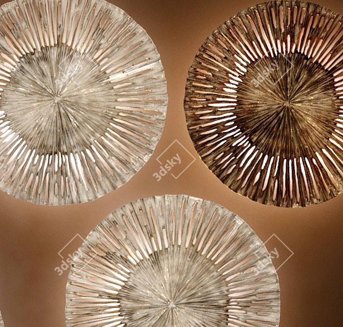 Pieter Adam Le Soleil: Decorative Wall discs & sconces 3D model image 2
