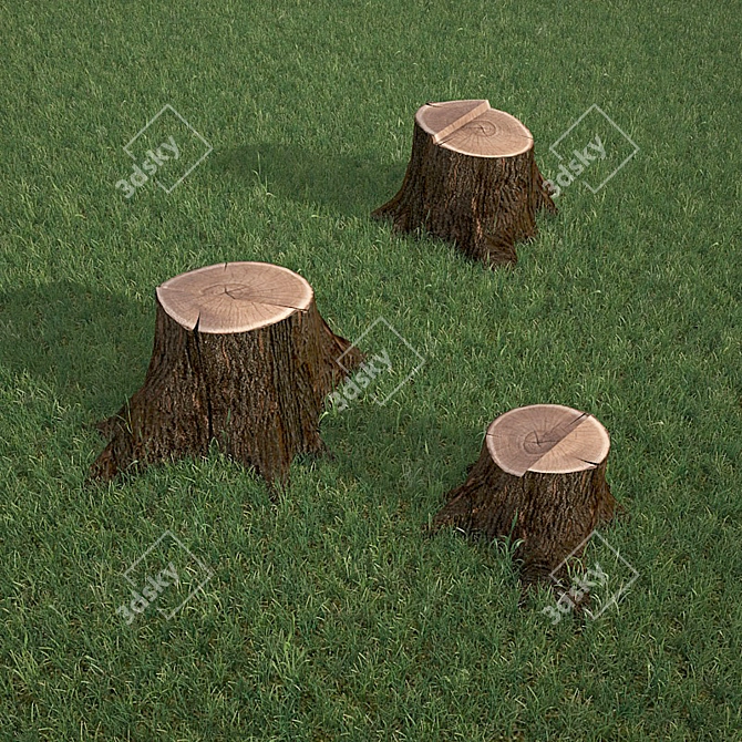 Rustic Oak Stump 3D model image 1