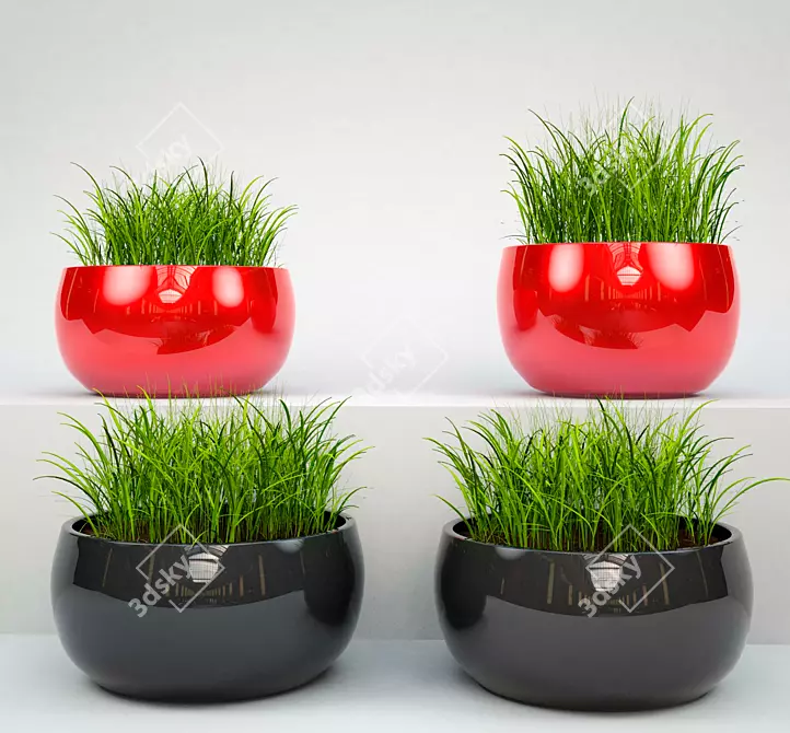 Lush Potted Grass: Beautiful, Low-Maintenance 3D model image 2