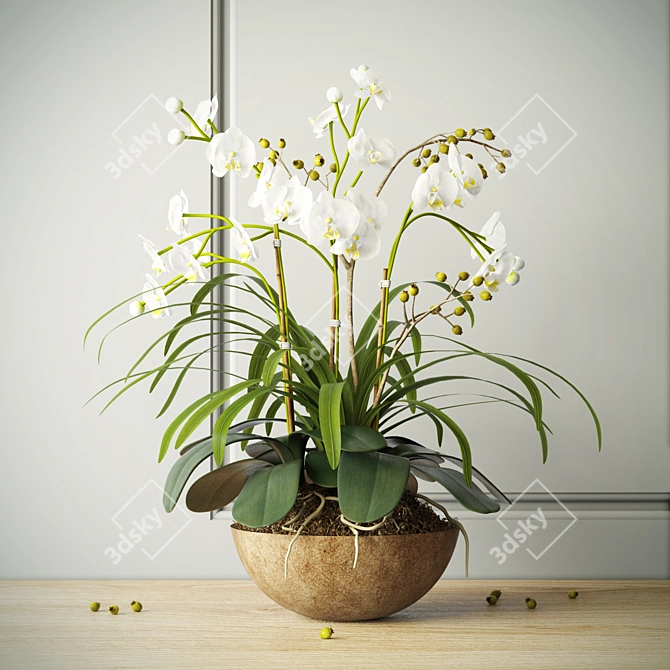 Elegant Orchid Composition 3D model image 1