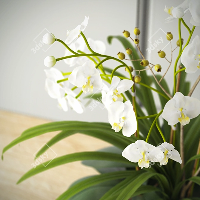 Elegant Orchid Composition 3D model image 2