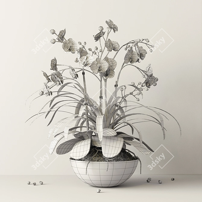 Elegant Orchid Composition 3D model image 3