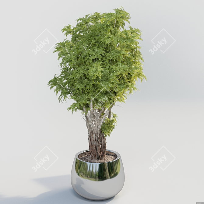 Lush Green Potted Bush 3D model image 1