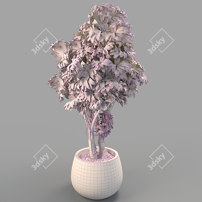 Lush Green Potted Bush 3D model image 2